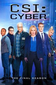 CSI: Cyber 2 stagione