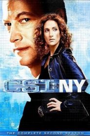 CSI: NY 2 stagione