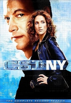 CSI: NY 2 stagione