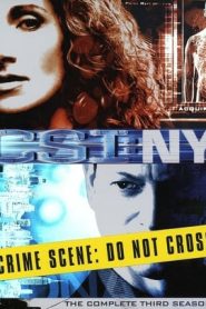 CSI: NY 3 stagione