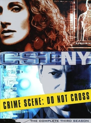 CSI: NY 3 stagione