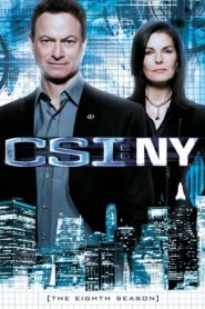 CSI: NY 8 stagione