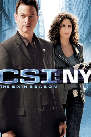 CSI: NY 6 stagione