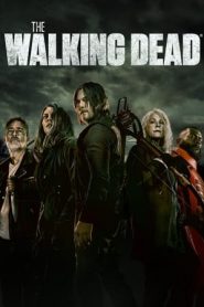 The Walking Dead 11 stagione