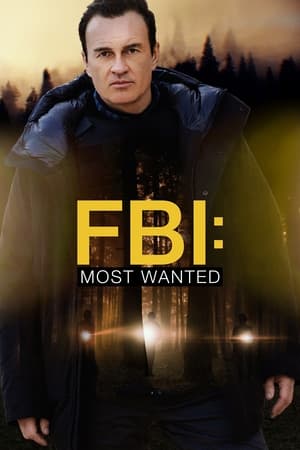 FBI: Most Wanted 3 stagione