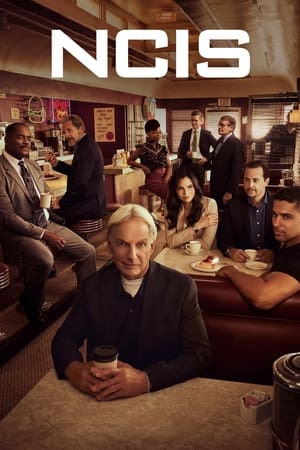 NCIS – Unità anticrimine 19 stagione