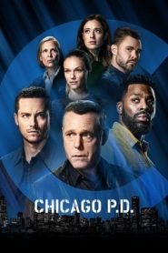 Chicago P.D. 9 stagione