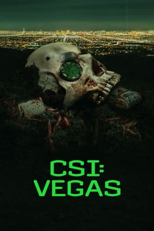 CSI: Vegas 1 stagione