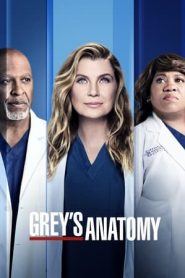 Grey’s Anatomy 18 stagione