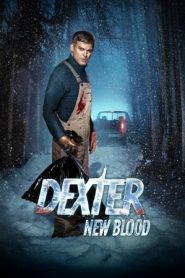 Dexter: New Blood 1 stagione