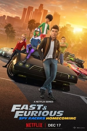 Fast & Furious: Piloti sotto copertura 6 stagione