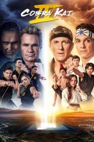 Cobra Kai 4 stagione