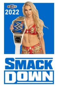 WWE SmackDown 24 stagione