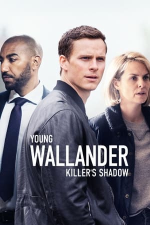 Il giovane Wallander 2 stagione