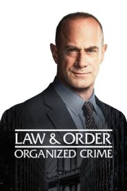 Law & Order: Organized Crime 2 stagione