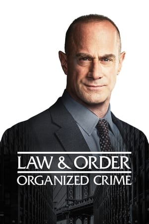 Law & Order: Organized Crime 2 stagione