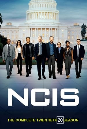 NCIS – Unità anticrimine 20 stagione