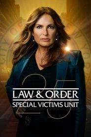 Law & Order – Unità vittime speciali 25 stagione