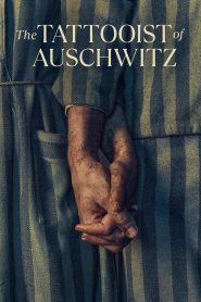 Il tatuatore di Auschwitz 1 stagione