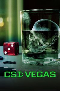 CSI: Vegas 3 stagione