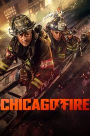 Chicago Fire 13 stagione